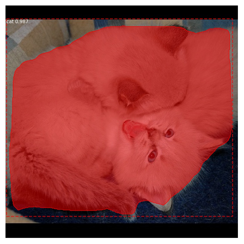 Yolo-cat
