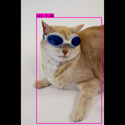 Yolo-cat
